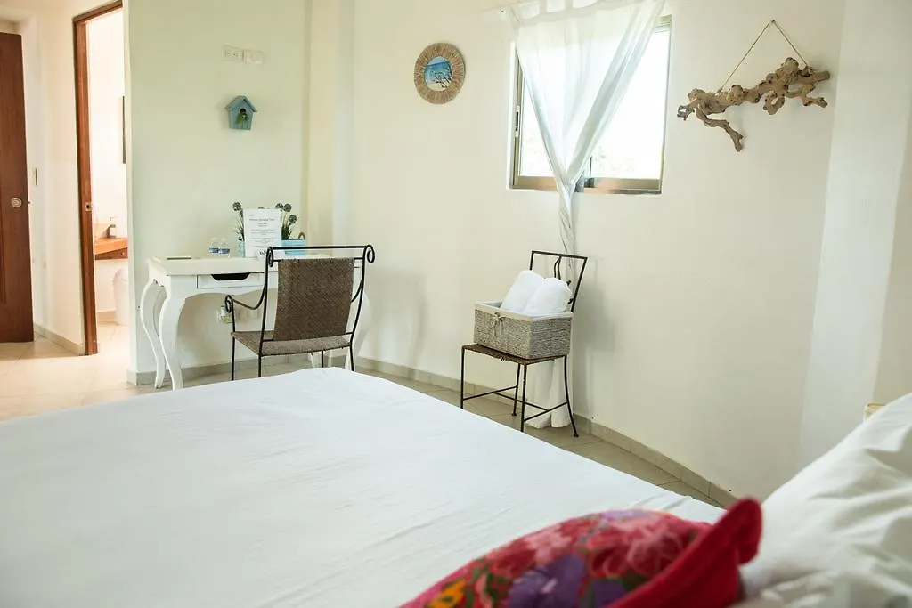 Harmony Glamping Boutique Hotel And Yoga Tulum